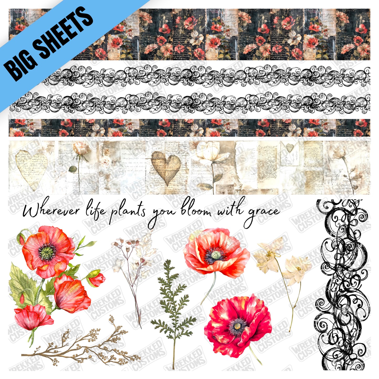 Poppies Wherever life plants you (10x10)