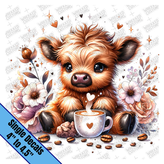 Baby Coffee Cow