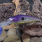 Dead Eye Crank Bait Purple Eye'd Shad