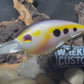 Colossal Deep Diving Crankbait American Shad