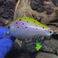 Mighty Wart Pearl Silver Base Rainbow Trout Crankbait