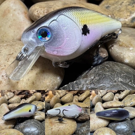 1.5 Square Bill American Shad