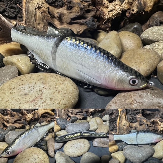 6" Swim Shad Silver Shiner
