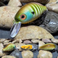 Mighty Wart Barred Gill Crankbait