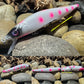 140 MM Pink Panther Jerkbait