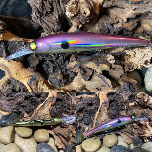 Imperfect Shallow Bandit Green Eye Perch