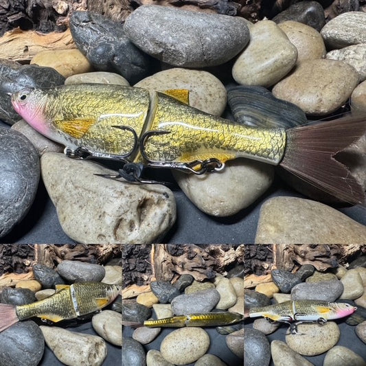 6" Swim Shad Golden Shiner