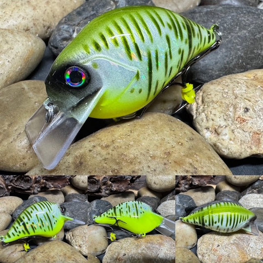 Square Bill 1.5 Scrank Foil Gill
