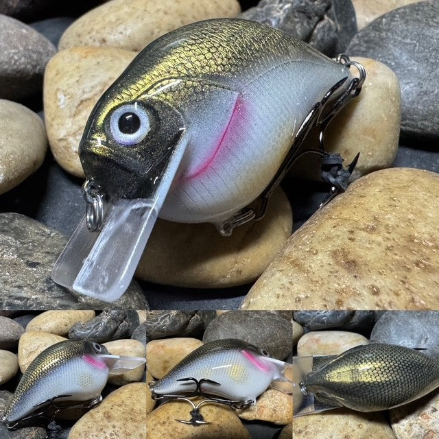 Square Bill Scrank Silver Shiner