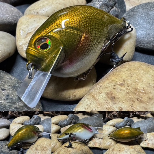 Square Bill 1.5 Scrank Golden Shiner