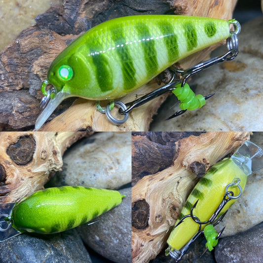 Small Square Bill Green Perch