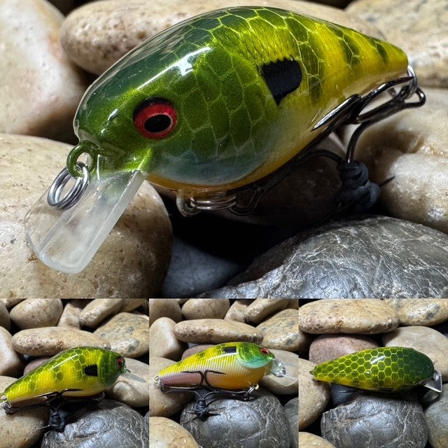 1.0 Square Bill Yellow Side Green Barred Gill