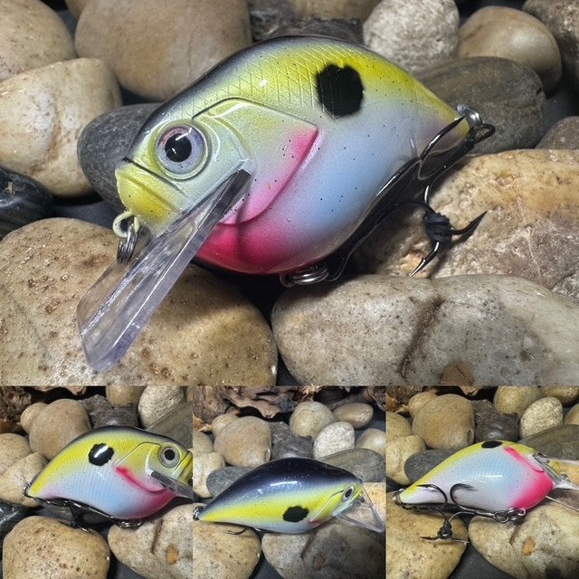 Square Bill 2.0 Scrank Natural Shad