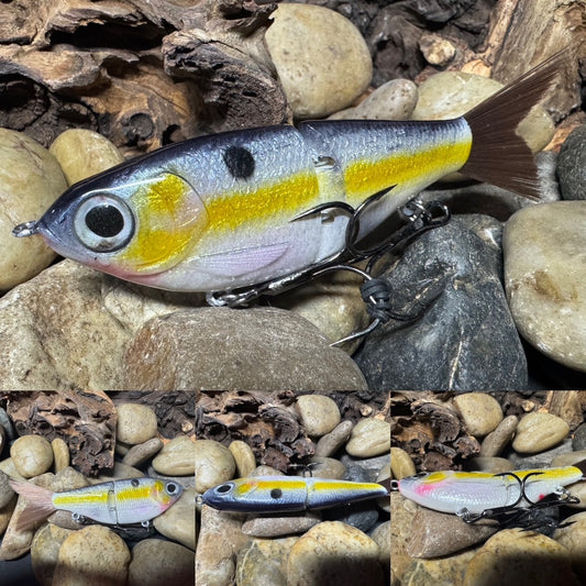 5" Swim Shad Jointed Glide Bait Shad Pattern