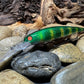 Dead Eye Crank Bait The Erie Gator