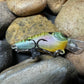 Small Square Bill Bluegill Pattern