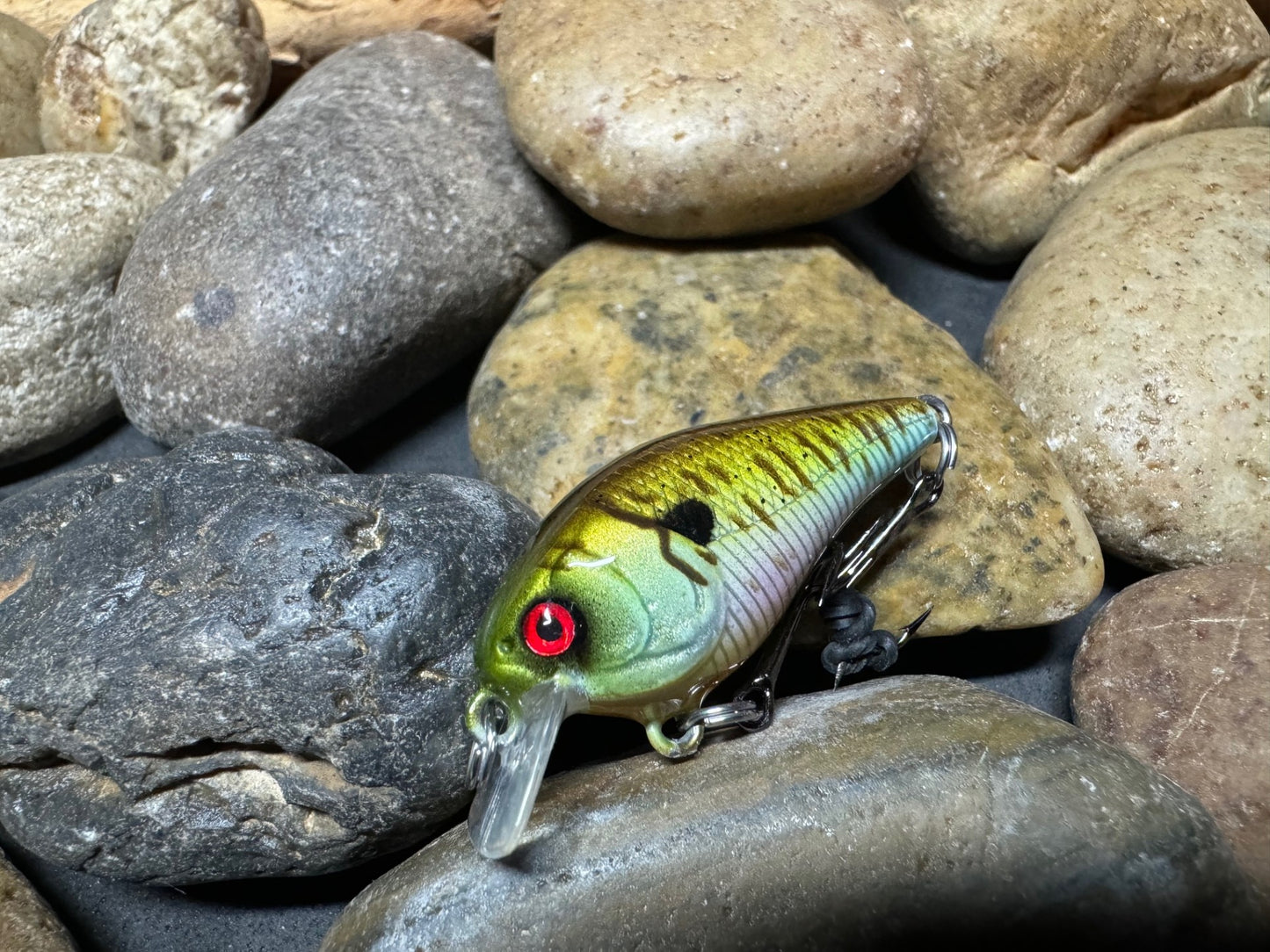 Small Square Bill Bluegill Pattern