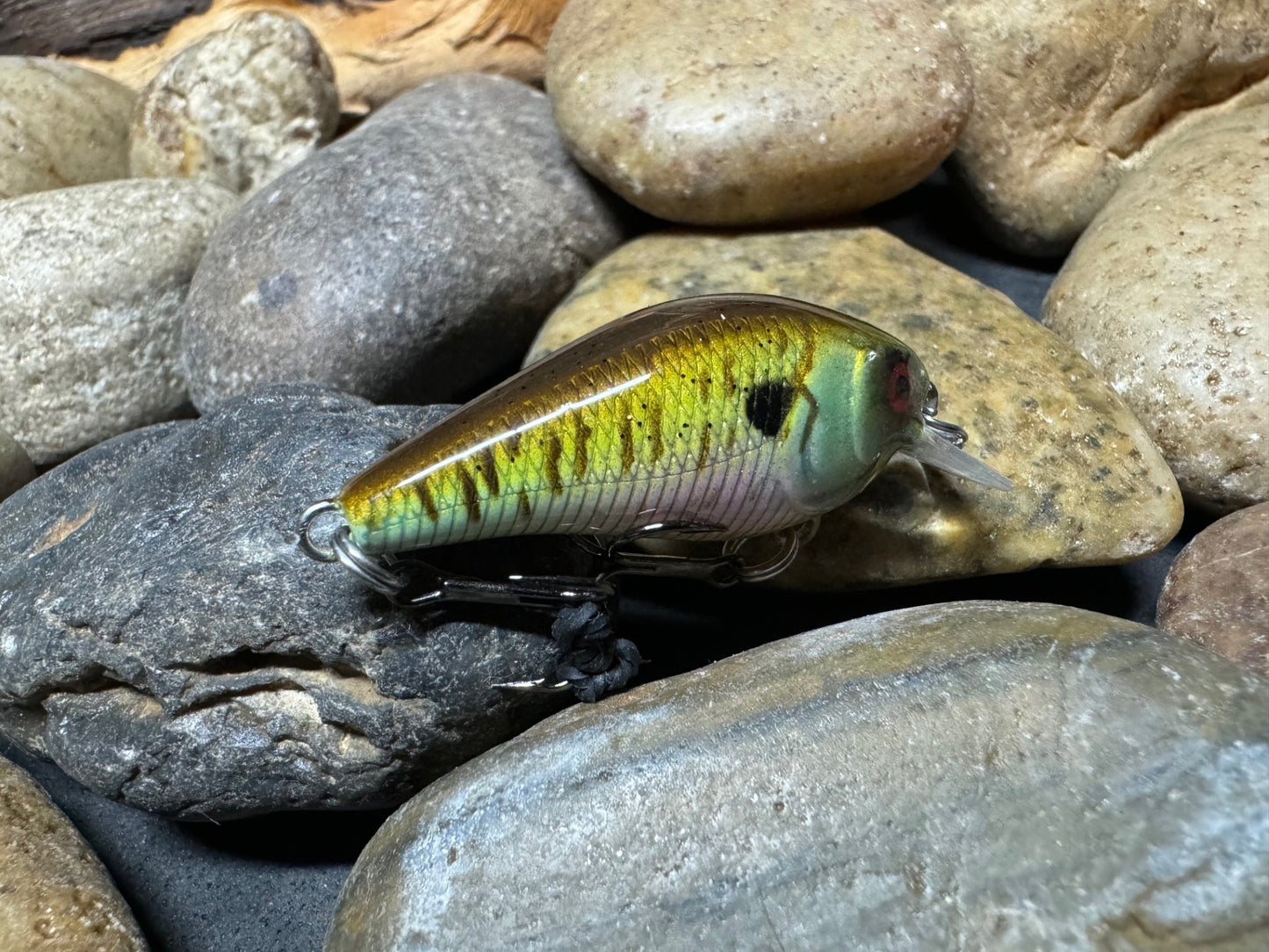 Small Square Bill Bluegill Pattern