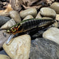 110 Green Back Black Barred Chrome Perch Jerkbait