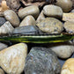 110 Green Back Black Barred Chrome Perch Jerkbait