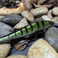 110+1 Green Sided Red Eye'd Black Foil Perch with Silver Belly Jerkbait(Limited Edition)