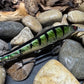 110+1 Green Sided Red Eye'd Black Foil Perch with Orange Belly Jerkbait