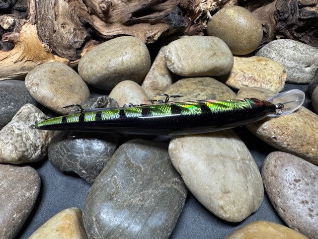 110+1 Green Sided Red Eye'd Black Foil Perch with Orange Belly Jerkbait