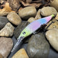 110+1 Multi-Colored Jerkbait