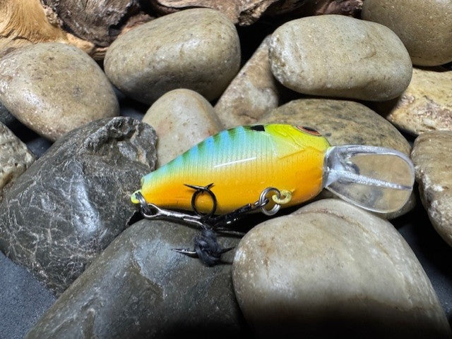 Mighty Wart Blue Sided Green Barred Gill