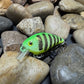 .5 Square Bill Green Perch