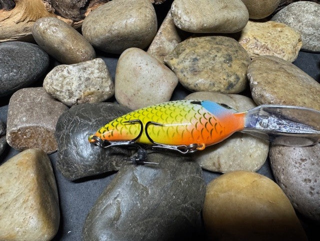 Deep lil Crank Yellow Sided Orange Throat Gill