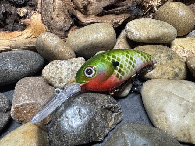 Deep lil Crank Red Throat Gill