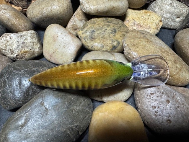 Deep lil Crank Brown Banded Gill