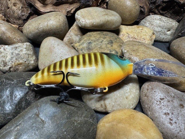 Deep lil Crank Brown Banded Gill