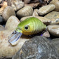 Mighty Wart Barred Green Gill Crankbait(Limited)