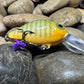 Mighty Wart Barred Green Gill Crankbait(Limited)