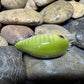 Mighty Wart Barred Green Gill Crankbait(Limited)