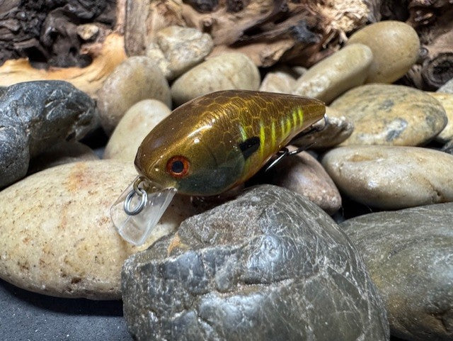 1.0 Square Bill Yellow Barred Gill