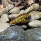 1.0 Square Bill Yellow Barred Gill