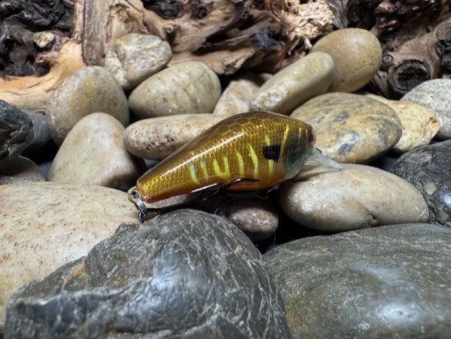 1.0 Square Bill Yellow Barred Gill