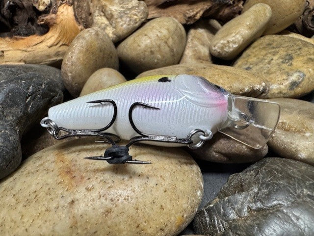 1.5 Square Bill American Shad