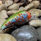 Sexy Shad Crank Bait Blue Bodied Pumpkin Seed