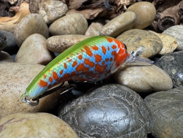 Sexy Shad Crank Bait Blue Bodied Pumpkin Seed