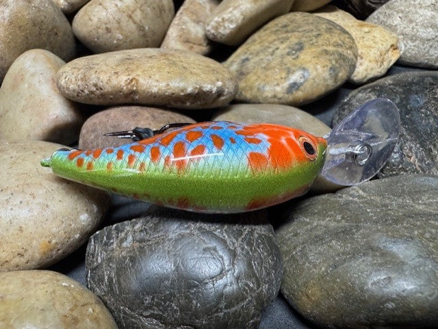 Sexy Shad Crank Bait Blue Bodied Pumpkin Seed