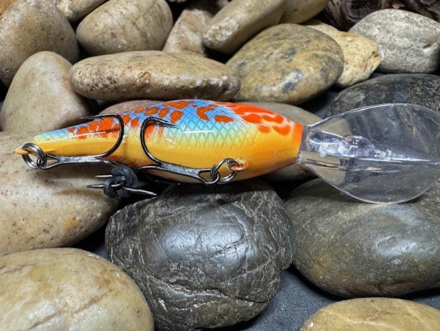 Sexy Shad Crank Bait Blue Bodied Pumpkin Seed