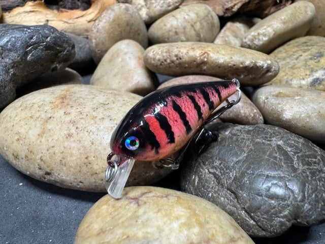 .5 Square Bill Red Perch