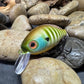 Mighty Wart Barred Gill Crankbait