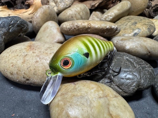 Mighty Wart Barred Gill Crankbait