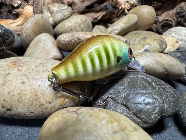 Mighty Wart Barred Gill Crankbait