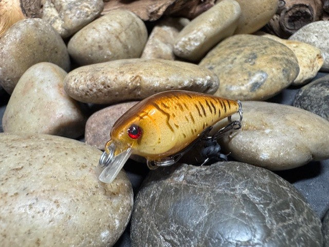 .5 Square Bill Orange Gill